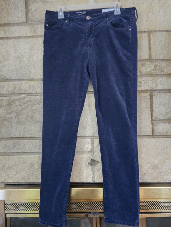 Anthropologie Other - AG Adriano Goldschmied Navy Blue Stretch Skinny Pants Size 30R